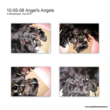 Angel met haar 9 Angels